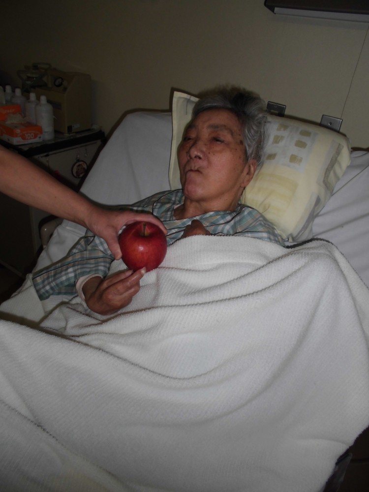 %e3%83%96%e3%83%ad%e3%82%b0%e7%94%a8-2